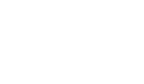 ali logo white 1x1 n